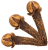 pickwick cloves
