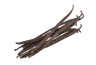 Vanilla Bean PNG Transparent Images Free Download Vector Files Pngtree